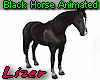 Black Horse Animated