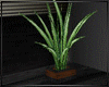 [FW] ModEl Plant
