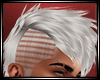 LS~ Req103 Grey