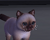 Cat Juiline