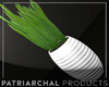 White Potted Plant - I
