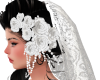 Wedding Veil