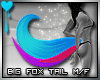 D~Big Fox Tail: Rainbow