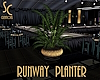 SC Runway Planter