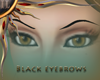 (IL) Black Eyebrows
