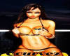 ~CC~CUSTOM KINGG BACKTAT