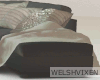 WV: Modern Couch