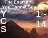 Enemy You Cannot See