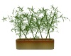 !Bamboo Potted Plant