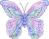 a soft colour butterfly