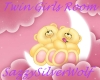 Twin Baby Girl Room