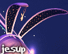 !!~Blanc Bunny
