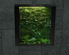 Plant decor