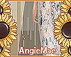 AM* Enit Cape
