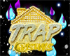 TRAP VISUALS PANTS