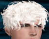 White Hair Rolled