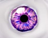 Jeweled Eyes