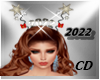 CD Crown 2022 Animated F