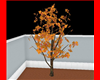 Falling Leaf Tree Oak
