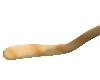 tabby cat tail