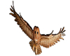 Owl In Flight Statue