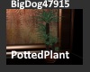[BD]PottedPlant