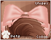 [Pets] Fievel | head bow