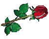 rose sticker
