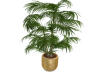 Modern Potted Palm