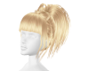 Blondie Hairstyle