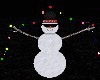 Snowman + Lights