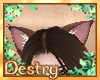 |CAT| Chestnut Neko Ears