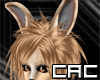 [C.A.C] Kangaroo Ears