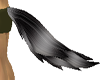 canadian wolf tail