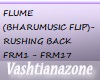 V-FLUME-RUSHINGBK(BHARUM