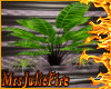FIRE [LL] Palm Planter