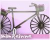 |M| Antique Bicycle
