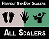 Gym Boy 130 All Scalers