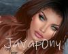 Spindi New Autumn Ombre