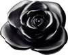 collier de rose noir