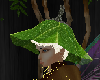 Fairy Leaf HAT m/f