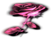 sticker rose