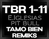 Tamo Bien REMIKS