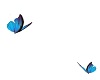 Blue Butterflies Ani