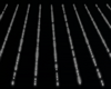 Linear Lights White