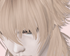 Wolf ✰