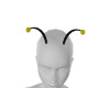 buzz