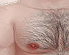 SENSUAL HAIRY TORSO
