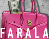 Birk Bag Dollar / Rosa