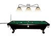 SNOOKER Table 20 poses